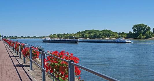 Ihr Immobilienmakler für Rees zeigt Ihnen die schönsten Seiten der Stadt. Hier sehen Sie den blumengesäumten Blick über den Niederrhein im Sommer.